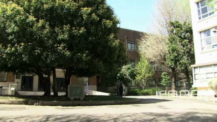 Japon: le petit Hisahito, futur empereur qui sauvera la dynastie