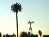 Wireless Radiation Protection, Cell Towers