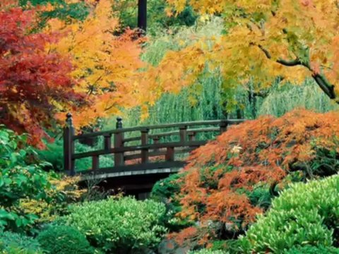 Kabhi yun bhi to ho jagjit singh - YouTube