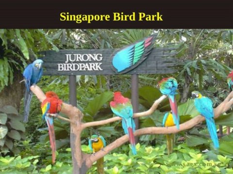Australia : How about travelling in Singapore?
