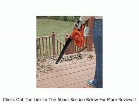 Black and Decker LSW20 20-Volt Lithium Ion Cordless Sweeper,Includes 20v Battery Review