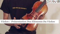 Cours violon : Les différents éléments du violon- HD