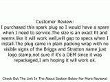 J19LM, RJ19LM Spark Plug, Briggs & Stratton Version Part Number 802592, 796112 Review