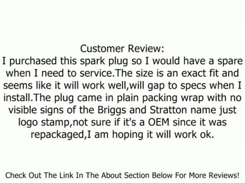 J19LM, RJ19LM Spark Plug, Briggs & Stratton Version Part Number 802592, 796112 Review