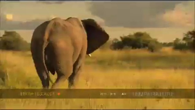 Video Campaign 30 please enjoy this video campaign. This is for testing and only for the developer.