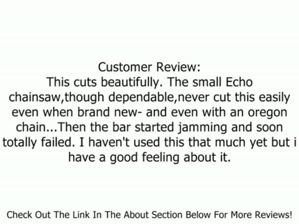 Oregon 14-Inch Bar & 91VG Chain Saw Blade Combination Fits Craftsman, Echo, Homelite, Poulan 27856 Review