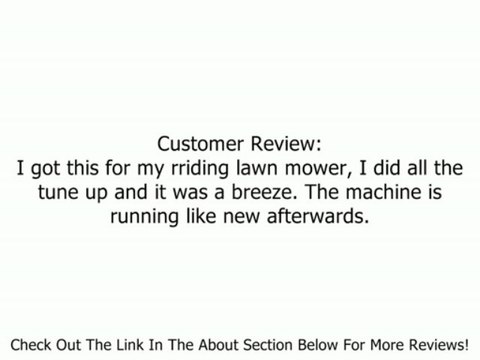 Briggs & Stratton 298090S Fuel Filter 150 Micron For Engines without Fuel Pump Review