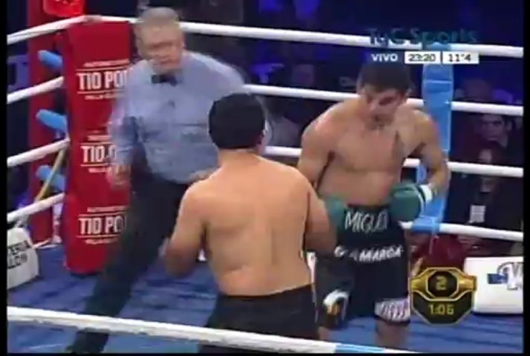Cesar Miguel Barrionuevo vs Diego Martin Alzugaray 2013-07-06