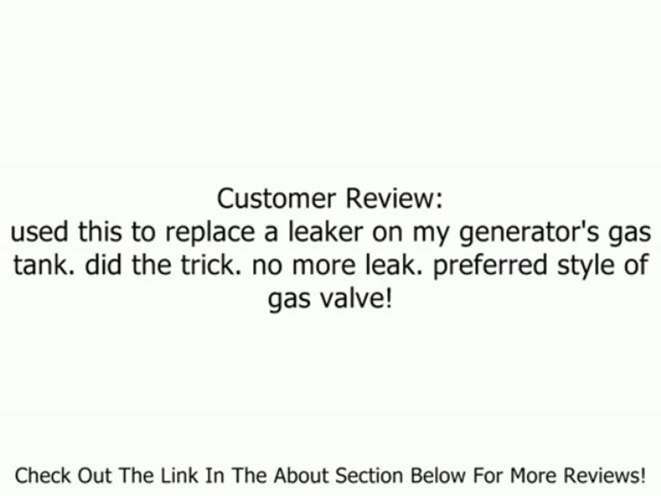 Briggs & Stratton Pressure Washer Fuel Valve Service Kit 192980GS Review