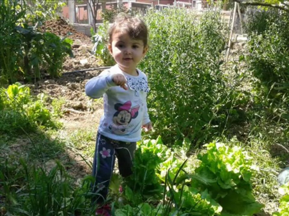 elifnaz