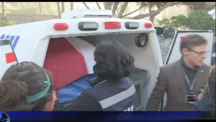 Envían restos de Neruda a España