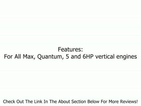 Briggs & Stratton 398188 Float Valve Review