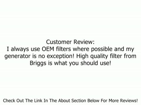 Briggs & Stratton 842921 Oil Filter for BIG BLOCK Engines Review