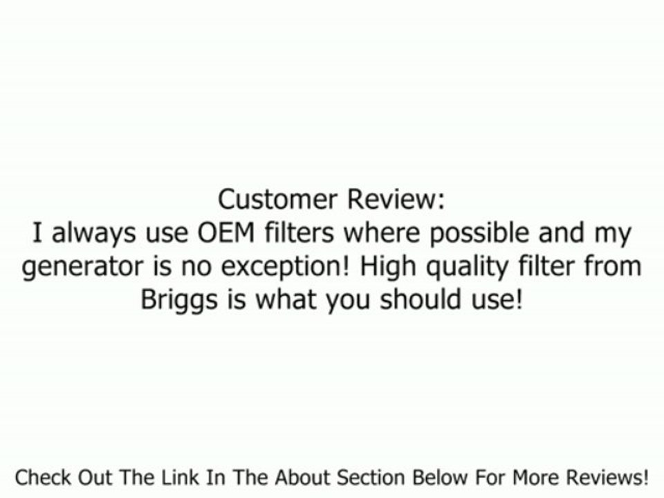 Briggs & Stratton 842921 Oil Filter for BIG BLOCK Engines Review