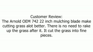 OEM-742-0742 22-Inch MTD Mulching Lawn Mower Blade Replaces 742-0742 Star Center Review
