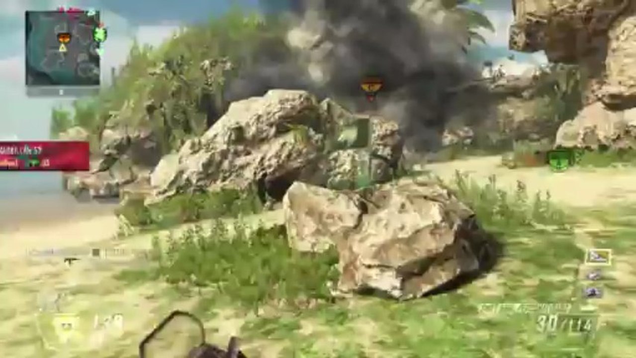 Menudo pirata de palo "Black Ops 2"