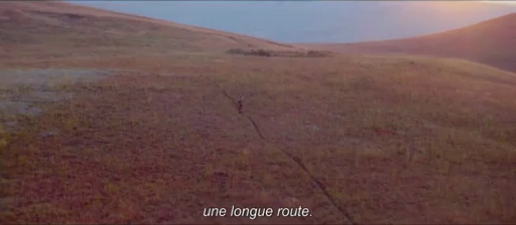 Mandela : Long Walk to Freedom (bande-annonce)