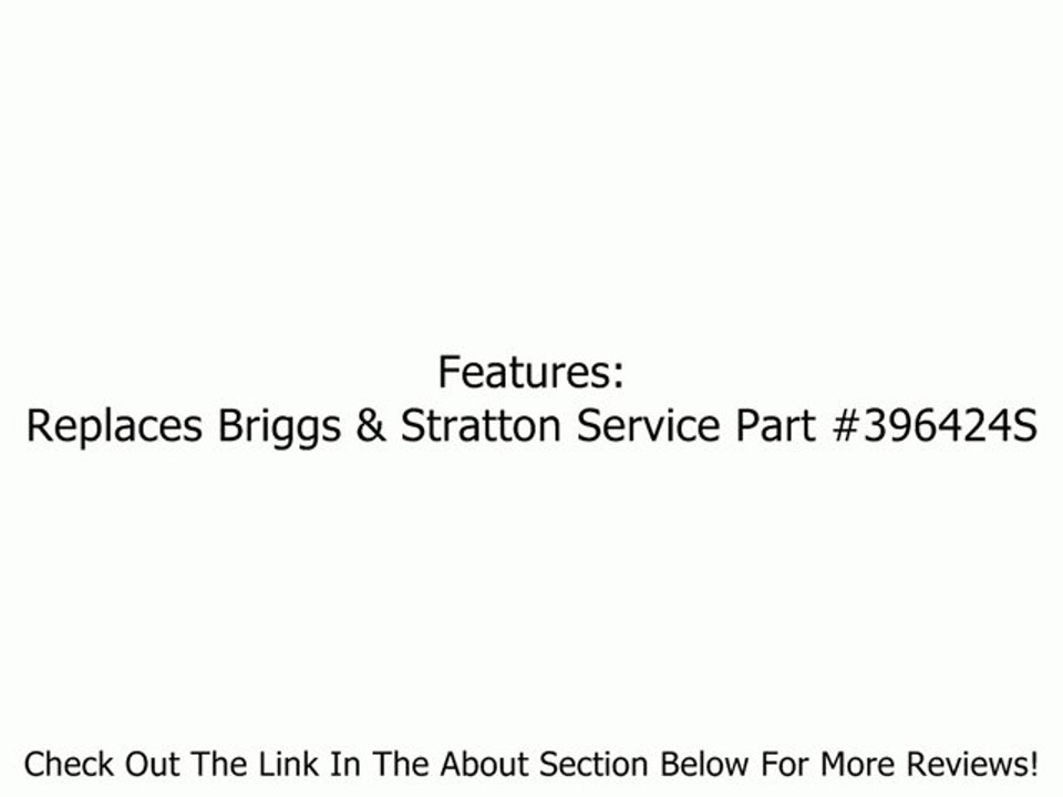 Briggs & Stratton 5026H Air Filter Cartridge 2-5 HP Horizontal Crankshaft Engines Review