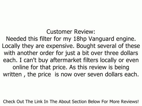 Briggs & Stratton 805267S Filter Pre-Cleaner Review