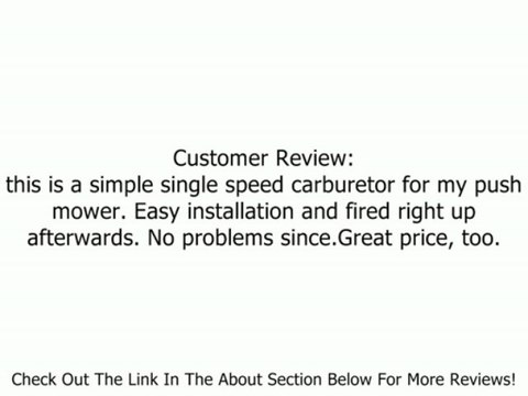 BRIGGS AND STRATTON 697415 CARBURETOR Review