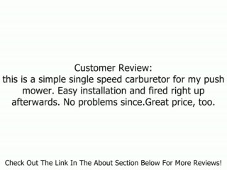 BRIGGS AND STRATTON 697415 CARBURETOR Review