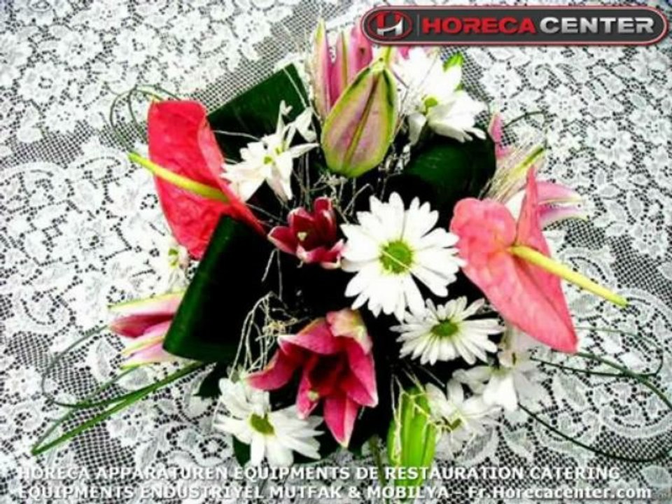 Chaises Design Discount Lot De 6