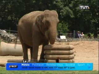 Baby et Nepal quittent Lyon