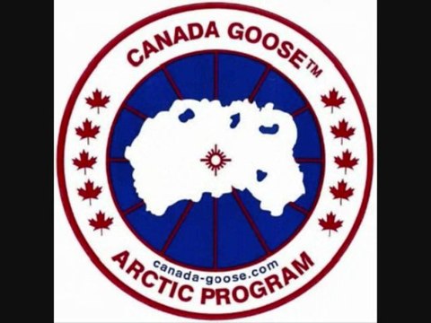 Pullover Sweaters & Cardigans, Sports Team Hats & Caps-Frankssports