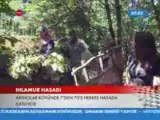 Geyve Akıncı Köyü Ihlamur Hasadı-Trt Haber