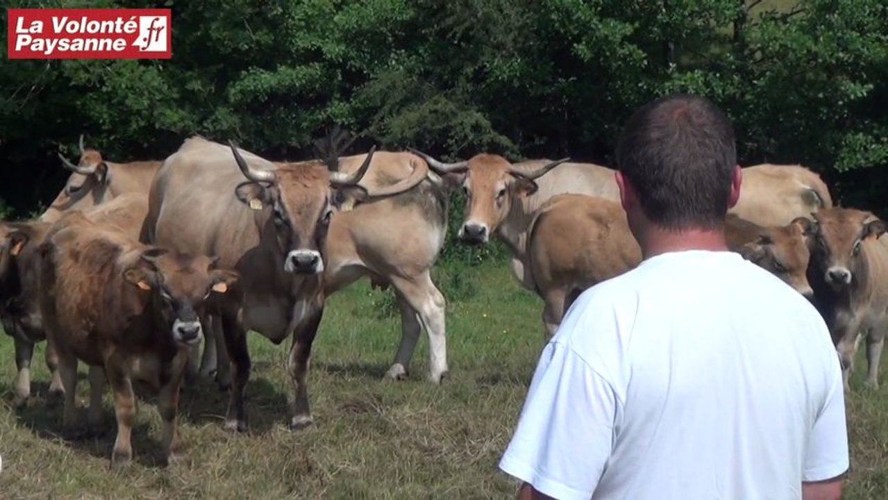 Ste-Geneviève : les intérêts de l'emploi en CUMA (Aveyron)