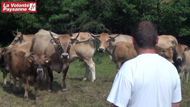 Ste-Geneviève : les intérêts de l'emploi en CUMA (Aveyron)