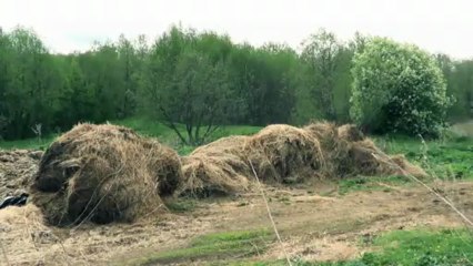 HFM - Ремонт тачки 2