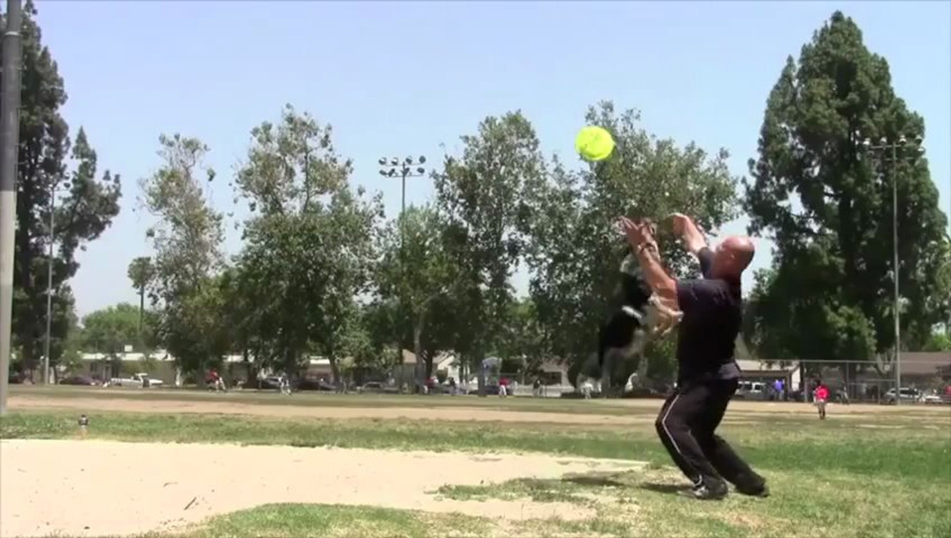 ⁣Jumpy the dog - Awesome Dog...