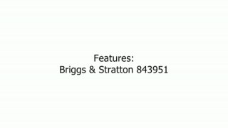 Briggs & Stratton 843951 Standard Piston Ring Set Review