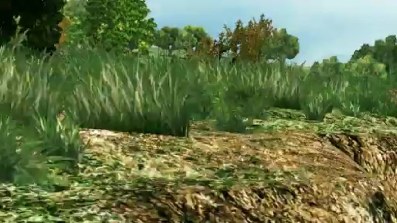 WRC 3 ifj. Tóth Janika Peugeot 207 S2000 Custom livery