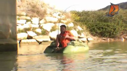 Delalande 2013 - Skiny Shad