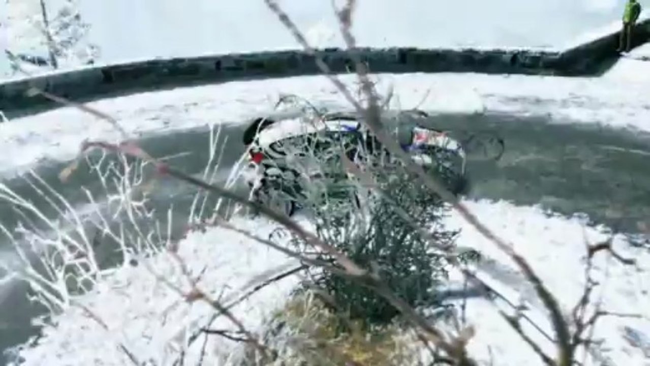 WRC 3 F. Delecour Visit Romania Custom Livery