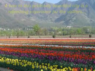 Plan Your Cheap Holidays to Kashmir