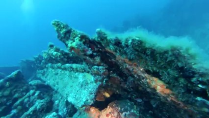 plongée sur le Michel C le 11 juillet  2013