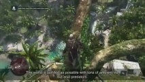 Assassin's Creed IV : Black Flag (PS4) - Gameplay maritime et d'exploration commenté (VOST EN)
