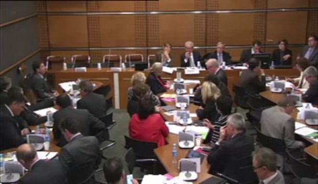 29 mai 2013, Bertrand Pancher auditionne en commission de développement durable Madame Karine Foucher, Maître de conférence, sur les questions prioritaires de constitutionnalité et le droit de l'environnement