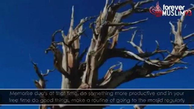 The Balance Between Deen and Dunya Nouman Ali Khan