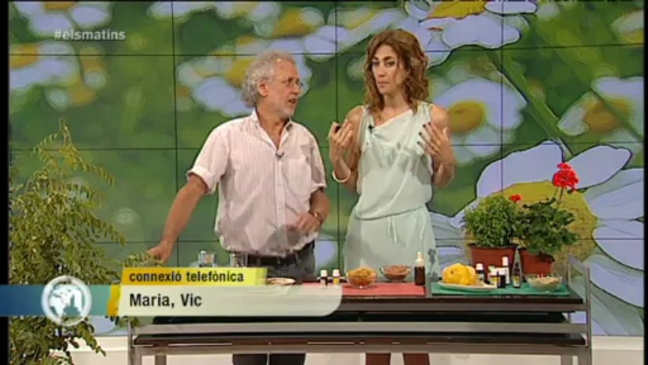 TV3 - Els Matins - Consells naturals per a les picades i el sol amb el naturòpata Albert Rami
