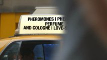 Do Pheromones Work - Best Working Pheromones - Pheromone Fragrances That Work