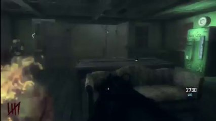 Wii u Zombies Black ops 2 Farm