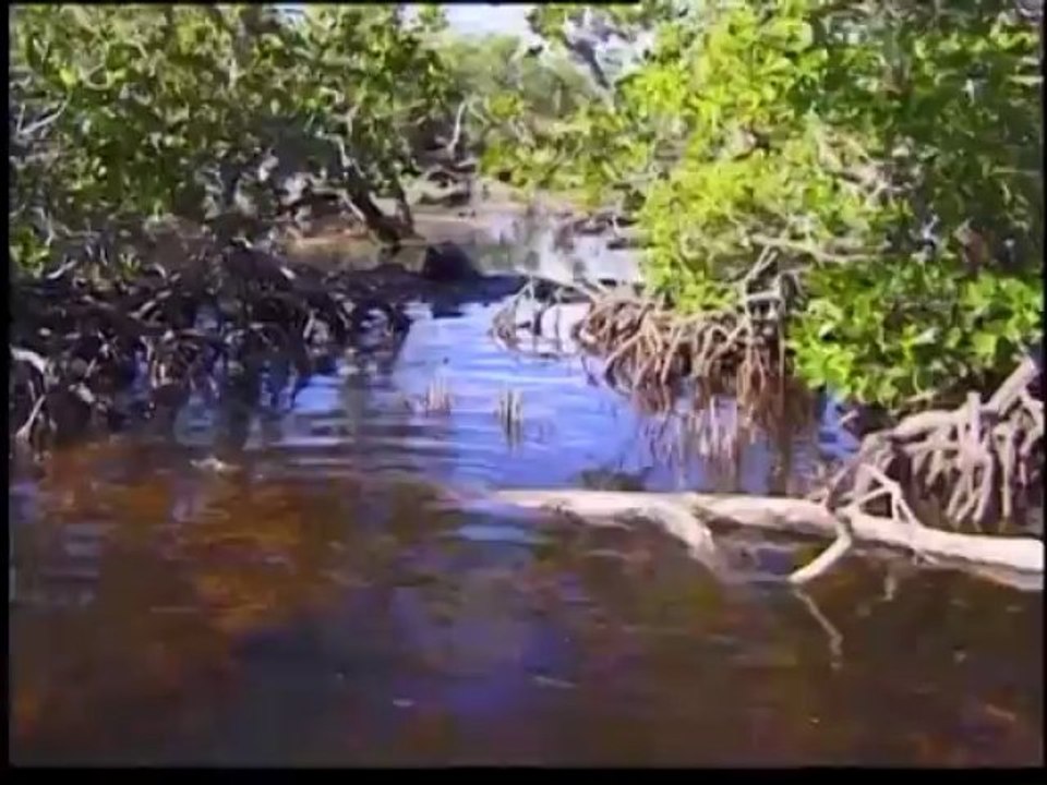 gaia4_aldabra_1