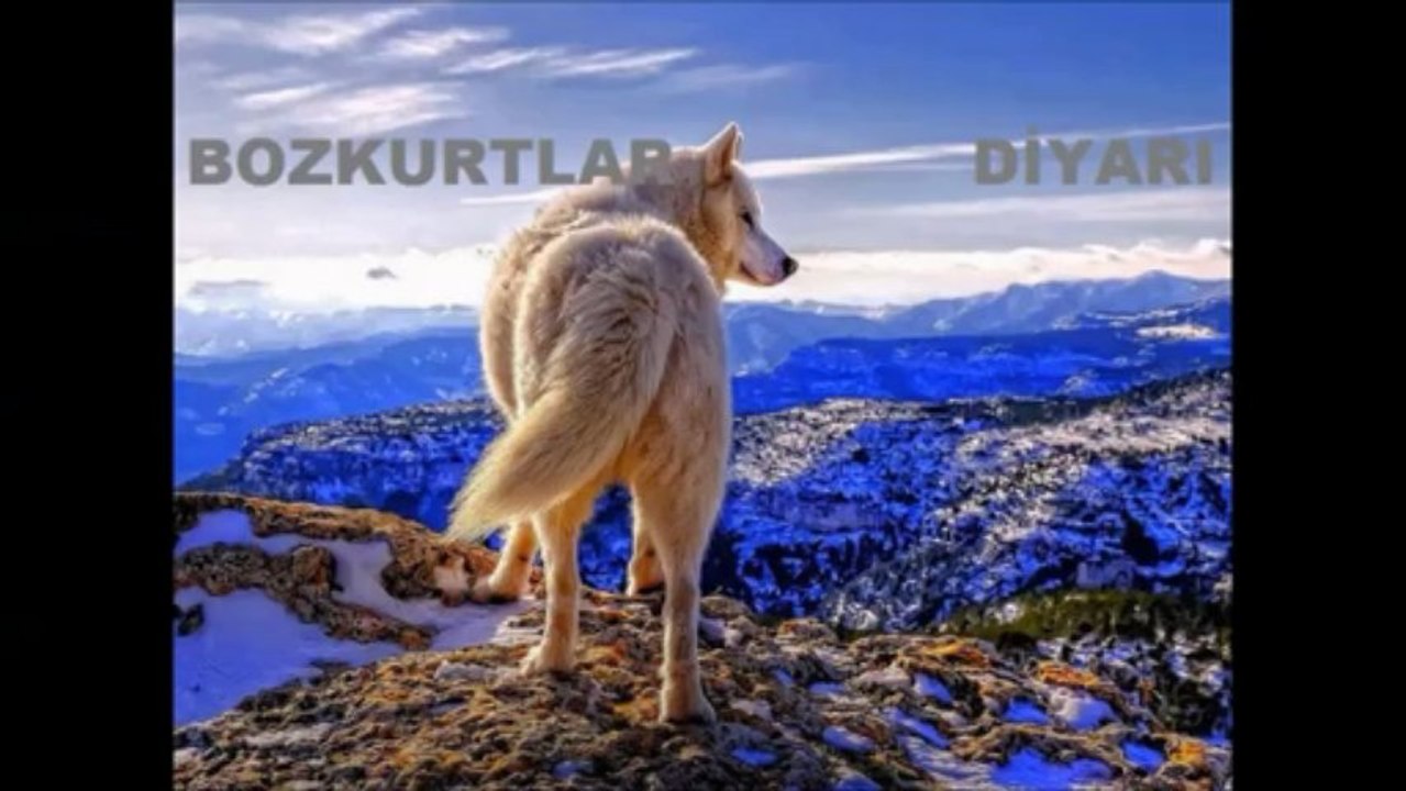 TÜRKÜMÜZ