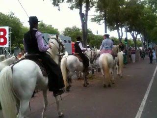 Transhumance du 09 juin 2013 à Marseille
