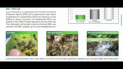 Luna Potato Fungicide - 2012 Product Guide