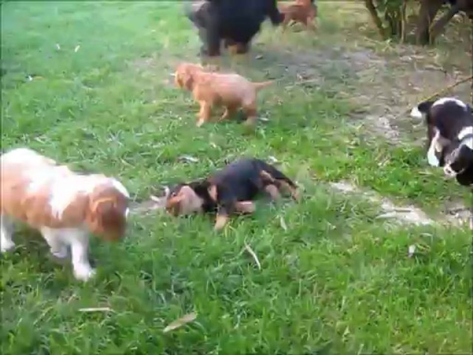 Tout le monde s'amuse